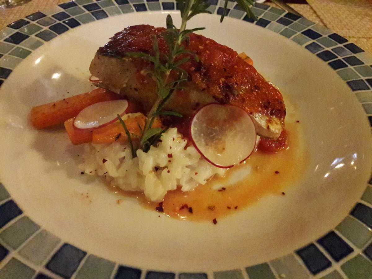 TravelVamos's tweet photo. we had some yummy food Lamb shank,  Sea bass and ceviche
#food #vacation #loscabos https://t.co/yTvZAL2cvE