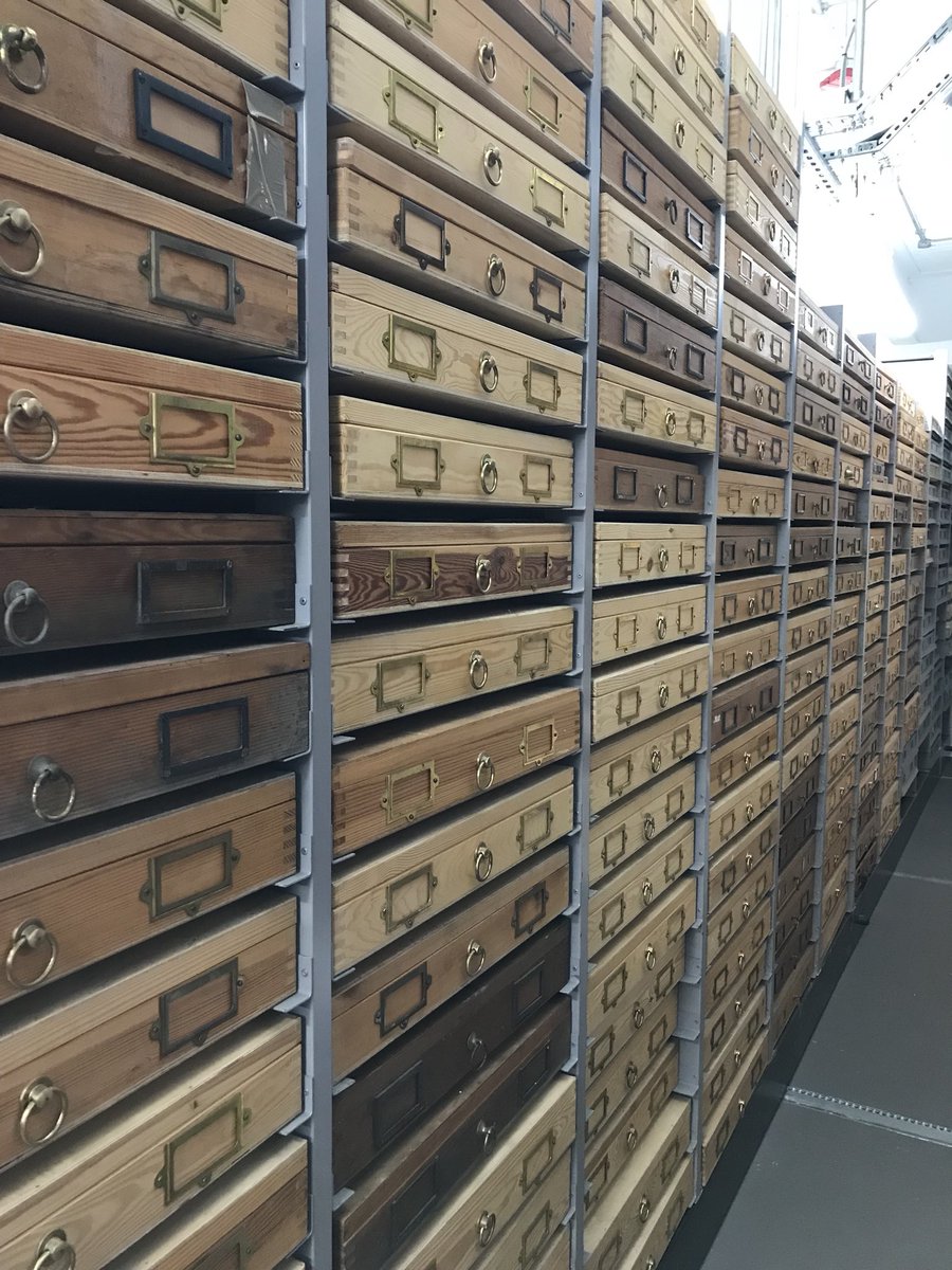 Over excited boy today in stone library at <a href="/BGSbldngStones/">BGS Building Stones</a> - wonderful....