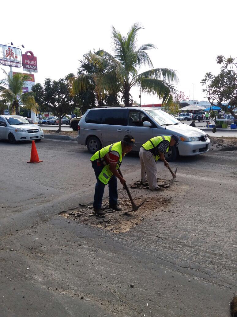 SerPublicosBj's tweet photo. #BrigadasVerdes redoblan esfuerzos en trabajos de Bacheo, en la Av. Kabah con Av. Tules Smz. 247 #NoPararemos.

@rembertoestrada @VivoEnCancun @infoturquesa https://t.co/9vhyjYxVF9