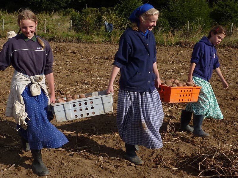 bruderhof hashtag on Twitter