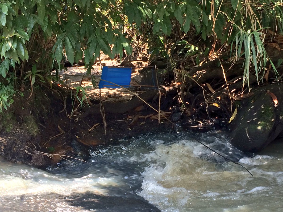 hatmepp's tweet photo. The team have been out in Uganda to see the fantastic combination of tsetse control and sleeping sickness diagnostics in action! @LSTMvector @FINDdx #NTDs #elimination #HAT #tinytarget #RDTs https://t.co/ZhJcUTLlU6
