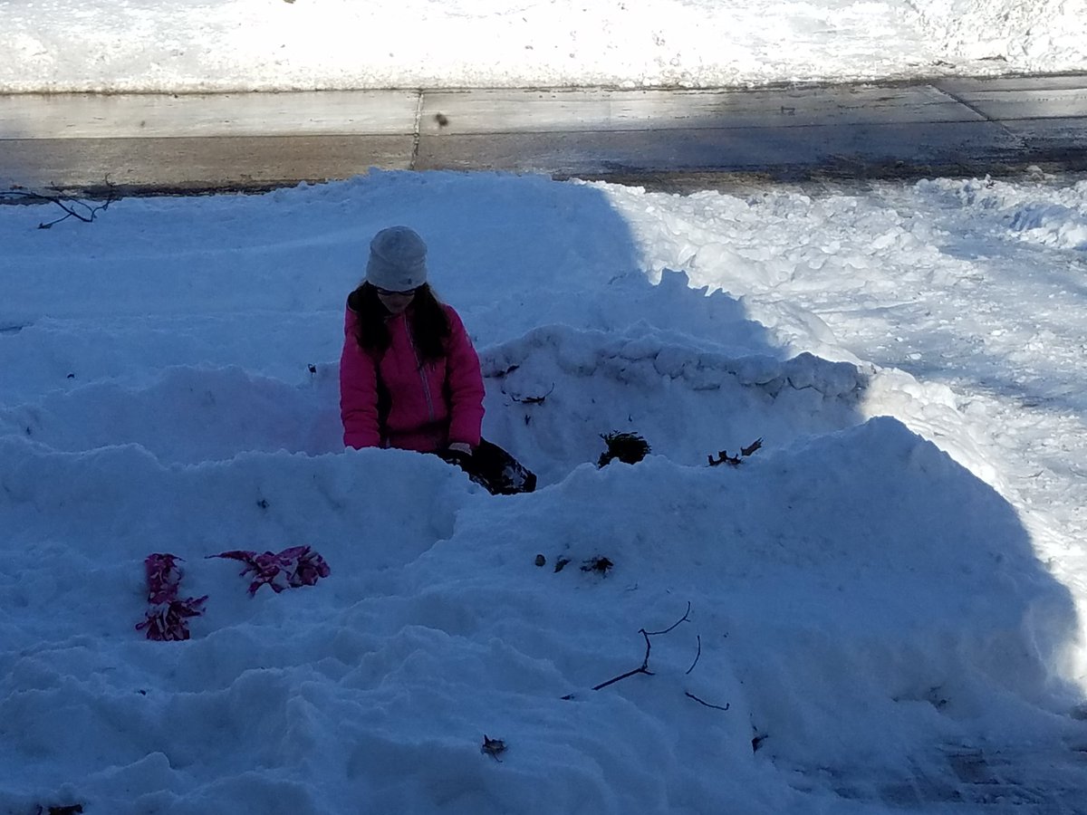 VR1022's tweet image. Isabelle enjoying a #masonsnowday building a fort!!