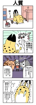 画像 / Picture