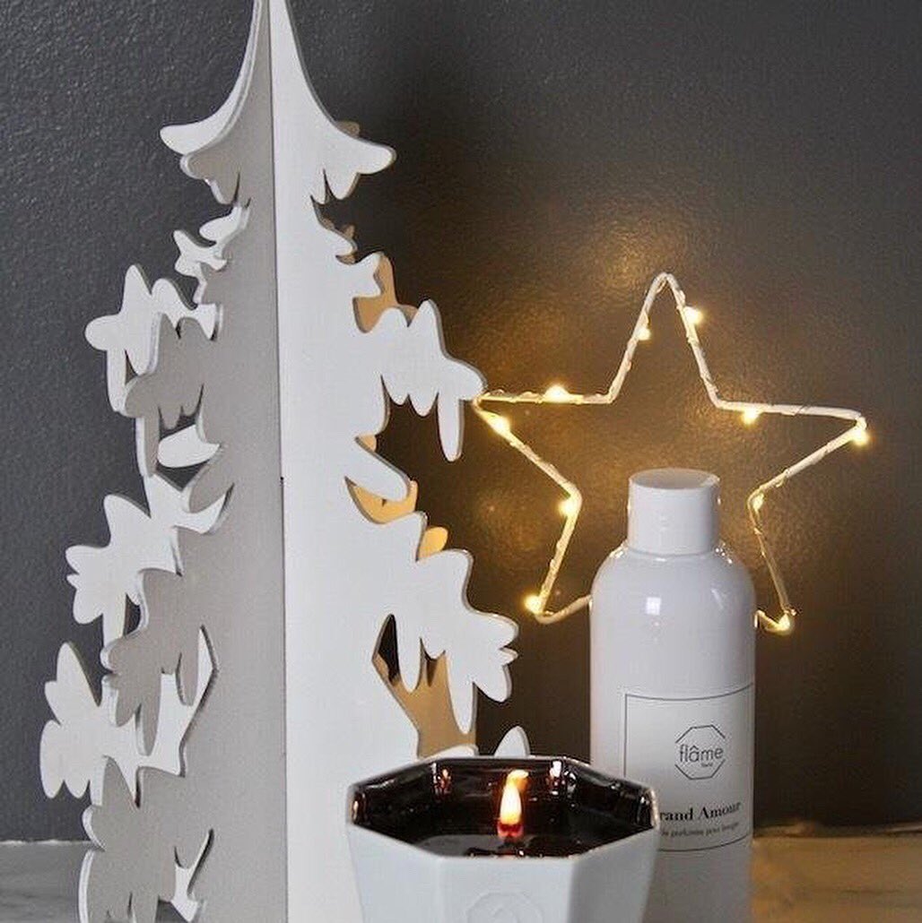 👃 Nouvelle marque FLAME PARIS