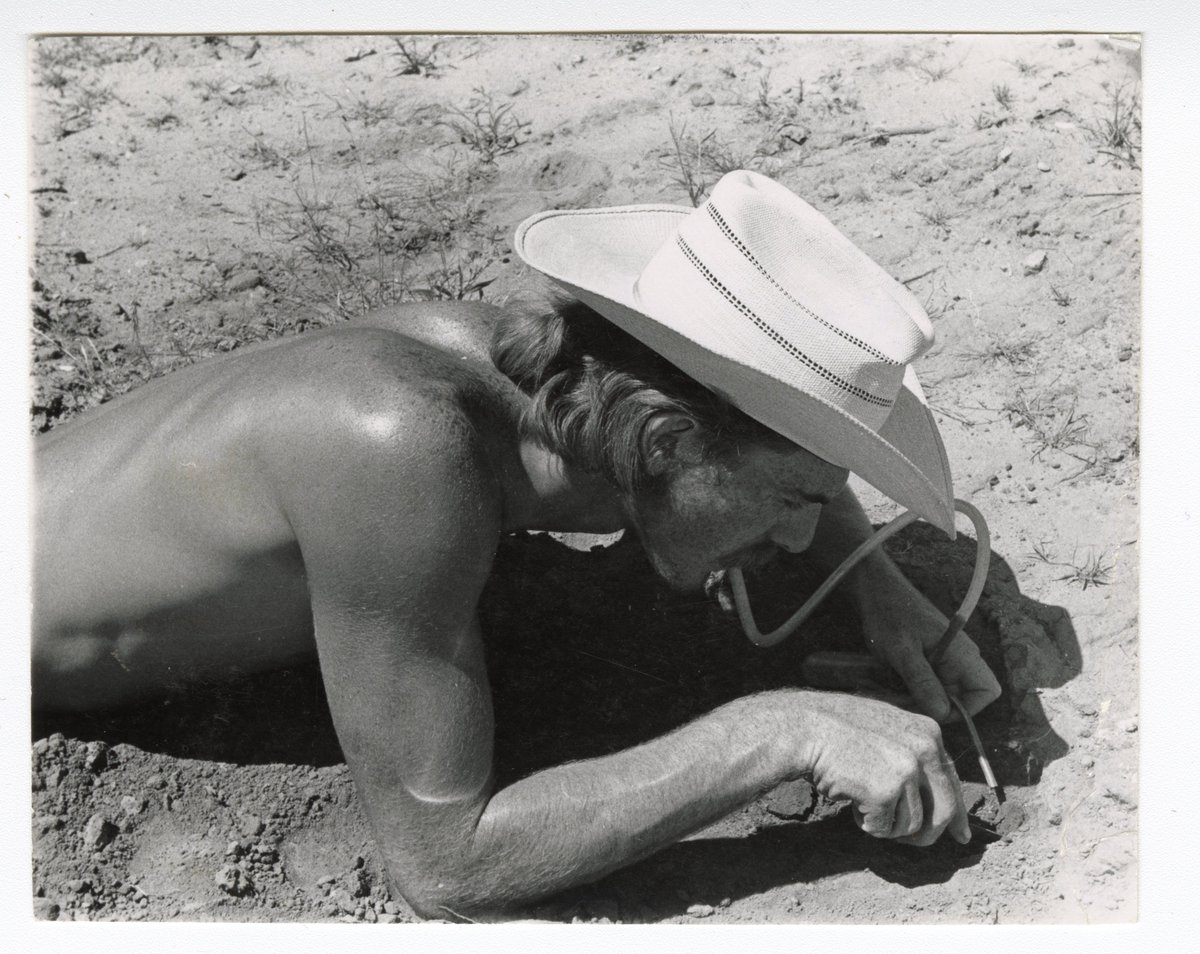 swrsamnh's tweet photo. Can you dig it? Ron McGinley, circa 1973, uses an aspirator to blow air away as he digs a solitary ground nesting bee. Photo by Jerry Rozen. McGinley and Rozen will be back at the station next year to help co-teach the The Bee Course, its 20th anniversary. https://t.co/ezmqBh50p3 https://t.co/W8rPMHdRM0