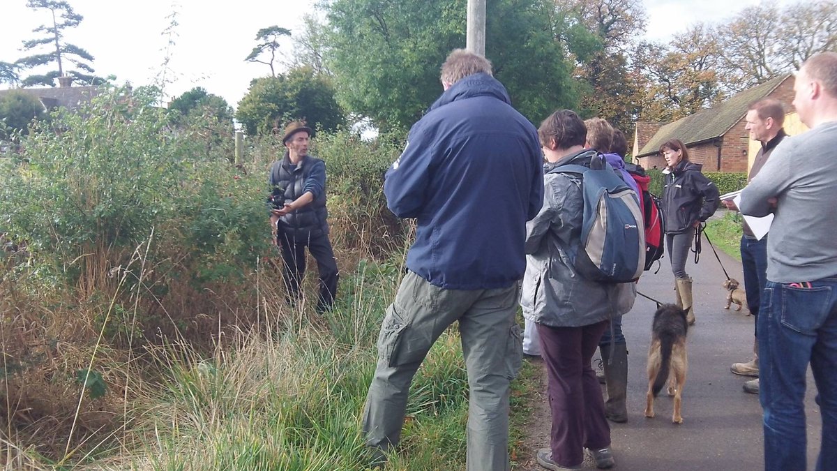 More reasons to go foraging - I'm offering family and group discounts for all my 2018 foraging courses...wildplantguide.com/foraging-walks…
