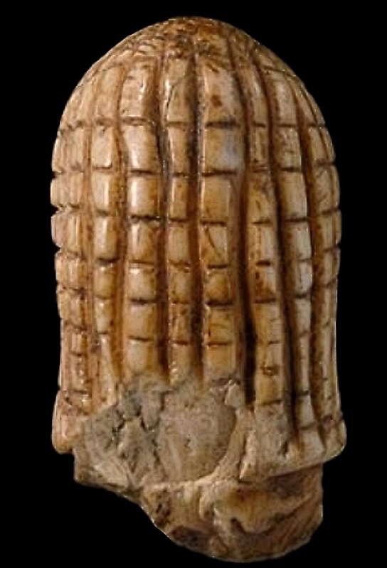 Prof Jamie Woodward tweet media