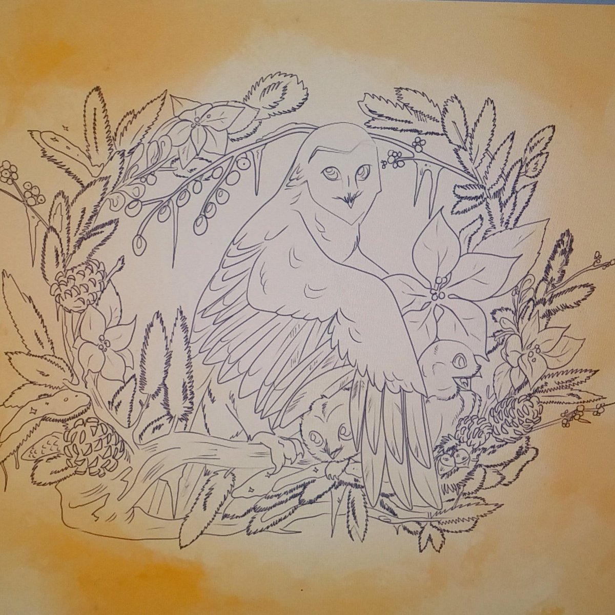 ALittlePhi's tweet photo. I drew a kewl owl, guys. #NetNeutality #Artist #XmasTreats #colouring sheets available https://t.co/Rpdf7fdvxh