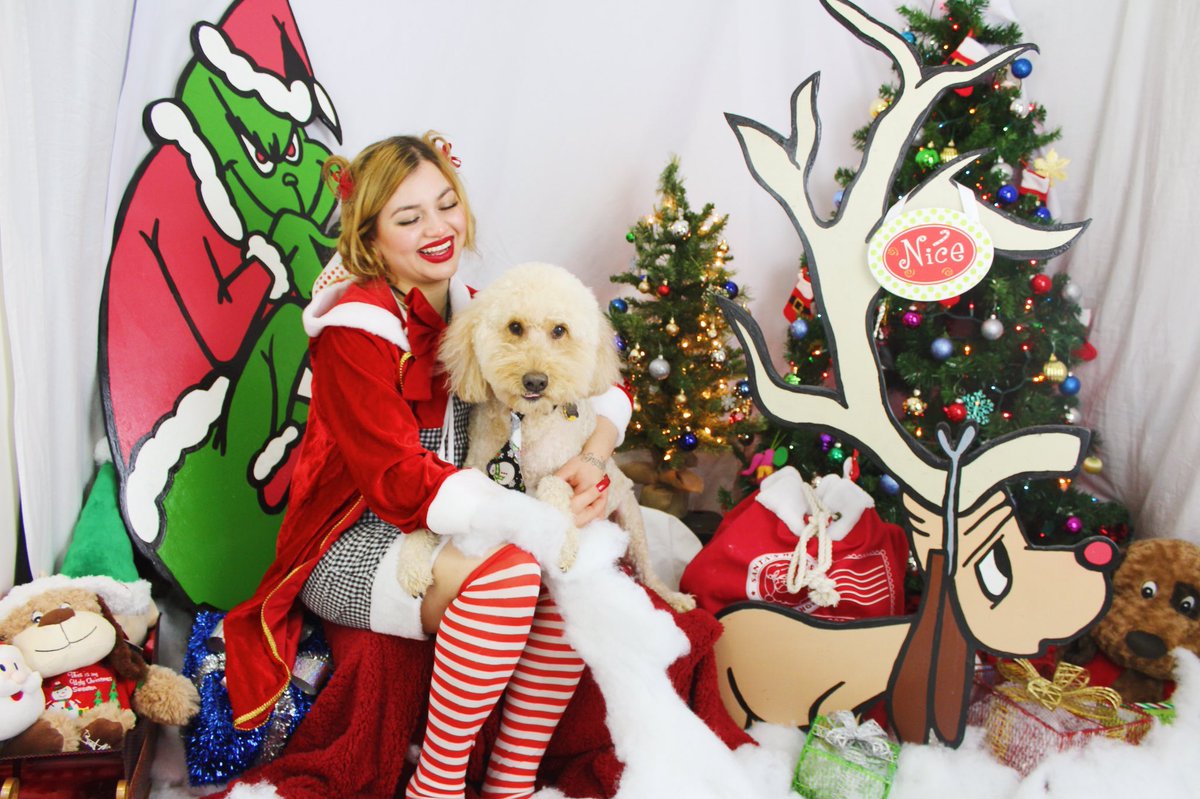 Riverwalkpets's tweet photo. Book a grooming or bath appointment to receive a free Grinchmas picture! 🎄🐾✨ December 13-23, 2017 https://t.co/zfgmsh2rc8