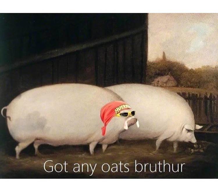 RegularOatmeal's tweet photo. Excuse me, brother? https://t.co/p7H4eJvs8w