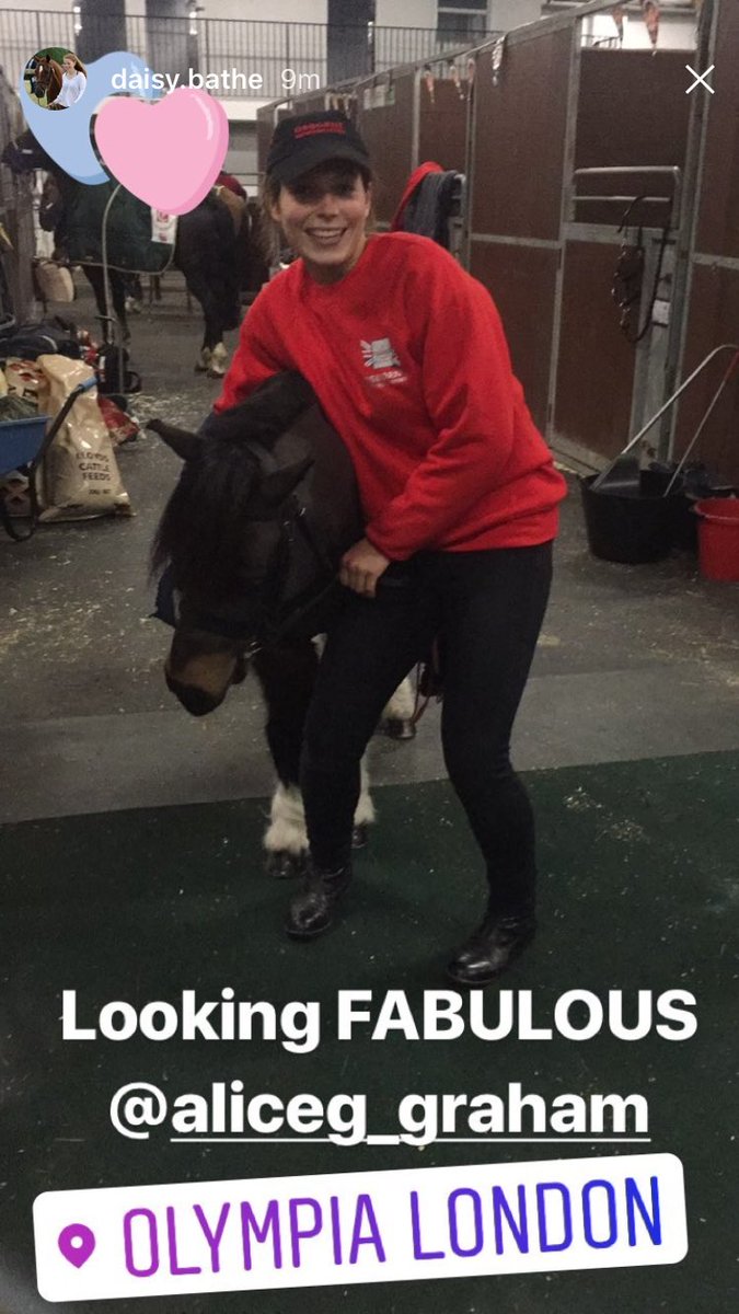 AliceG_Graham's tweet photo. Day 3 at @olympiahorse with Sunny the racing Shetland! Something a little different! https://t.co/S0YYZNv5AZ