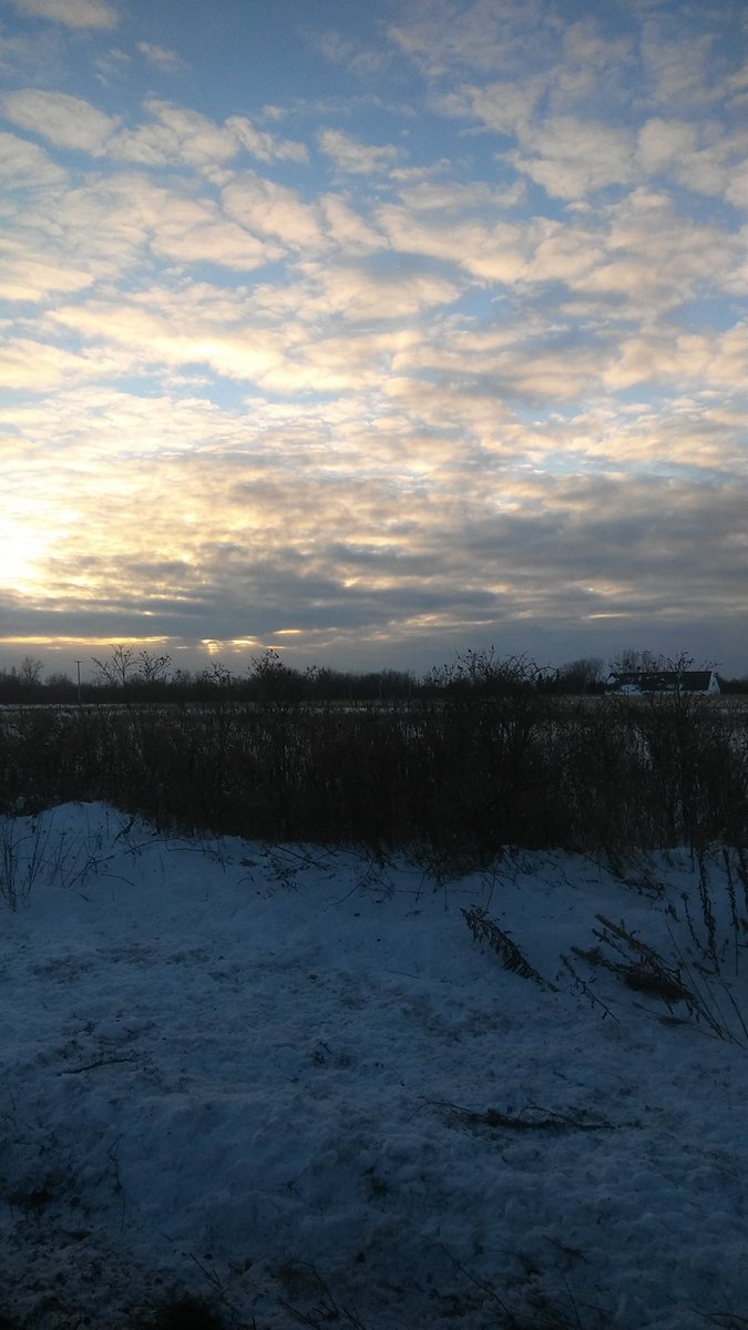 AmandaMBrown3's tweet photo. Beautiful sky on a Beautiful day. 
#photography #beautifulskies https://t.co/k5sMdn8Fqk