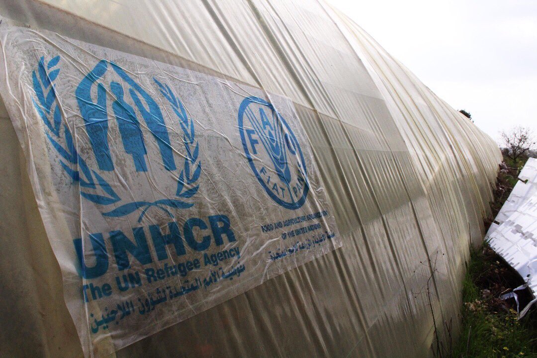 UNHCRinSYRIA's tweet photo. Helping 3000 farms in #Tartous and rural parts by supporting their greenhouses for tomato producing, this FAO and @Refugees project helps over 150k vulnerable #Syrians with their #livelihoods #SupportSyrians https://t.co/6FcqwES3Vn