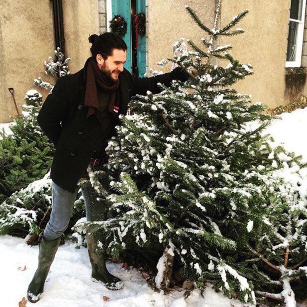 *text: <a href="/MrRobHarding/">Rob Harding</a>* Got the Christmas tree
