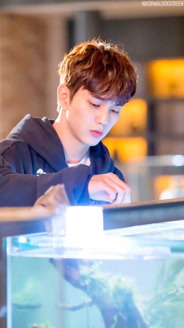 kdrmalockscreen's tweet photo. Yoo Seung Ho✨ "I Am Not A Robot"
~If used please mention us, RT and give credit 💘~
#kdrama #Kdramaislife #YooSeungho #IAmNotARobot #유승호 #YSH #로봇이아니야 #imnotarobot #korea #koreanactor #koreandrama https://t.co/aF35aKEuUB