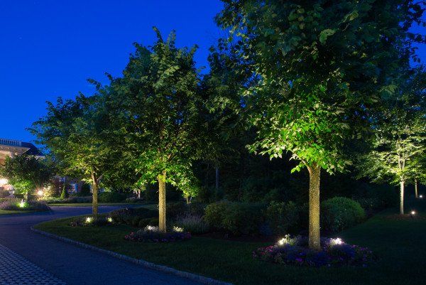 Have an extra-large tree that deserves a special treatment? Giants, especially evergreens, can look amazing when you double-team them with lighting. Get both a spotlighting and a moonlighting effect by placing two spotlights half- to three-quarters of the way up the tree.