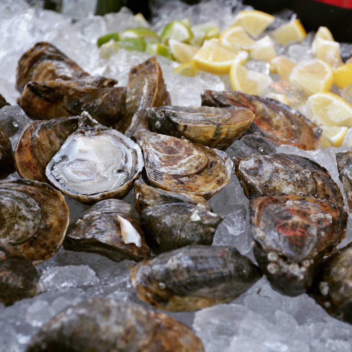 THIS SATURDAY 🎉 2nd Annual JINGLE SHELLS - Holiday Oyster Social

More info and tickets: ➡️ eventbrite.com/e/jingle-shell… ⬅️

📌 $65 (Online Only / Early Bird Ticket)
📌 Unlimited Oysters (10 Varieties)
📌 Free Brooklyn Gin &amp; Brooklyn Beer

#theoysterhood #jingleshells