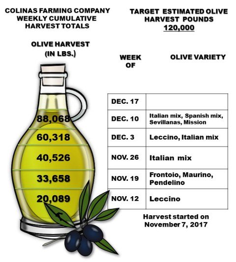 ColinasFarming's tweet photo. Click on https://t.co/vXH5y2Zuh9  to see what's new and learn more about Colinas Farming Company. https://t.co/LBnUIgqlcv