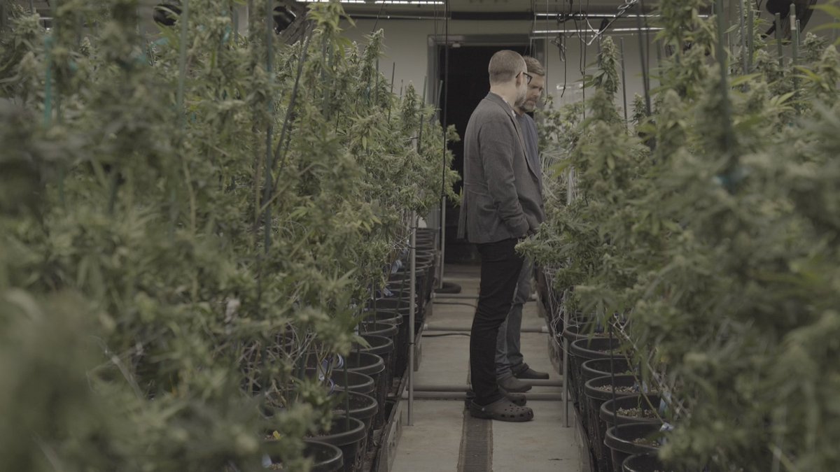 natsfert's tweet image. I'm in this really weird place right now where I have plans to do HH &amp;amp; watch @StarWars, but I'm so stoked about this video I'm almost finished w/ about #organiccannabis that I kind of don't want to leave work.... #videojournalistproblems