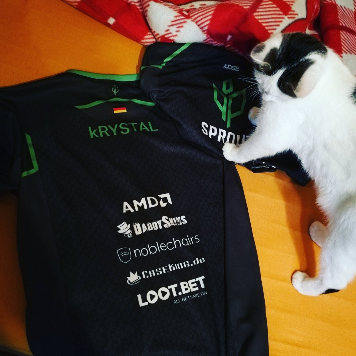 kRYSTAL_cs2's tweet photo. CHRISTMAS GIVEAWAY!

Im gonna giveaway my new @sproutGG jersey! 
To enter just :
-follow my page 
-like this comment and retweet!
(Winner will be announced on the 25th!) https://t.co/MuqR0BwZcp