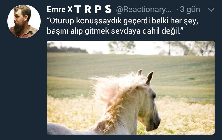 İnsan bir inceden düşünmüyor değil
"Tövbe bismillah O <a href="/_Aktolgali/">Aktolgalı</a> ya mı yürüyor ?!" diye😅 @ReactionaryYBZ