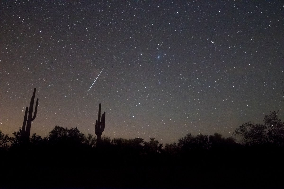 KRimcoski's tweet photo. #geminid splitting between saguaros last night! What an awesome shower, they were seriously flying last night!

#Geminids2017  #azwx #Geminidmeteorshower #tucson https://t.co/iLNiGoPN4R