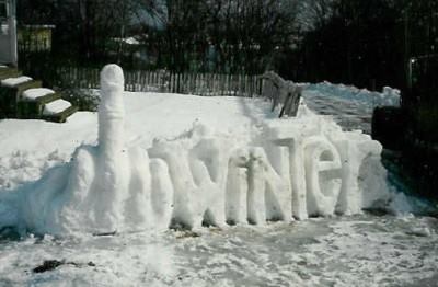 LiamWonderPug's tweet photo. #AddSnowRuinAnything https://t.co/8kTCDkS0Ke