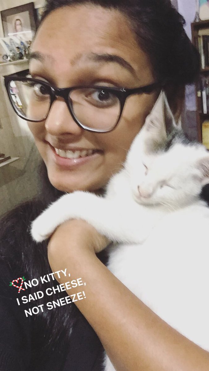 mitchellez's tweet photo. #NoKitty I said cheese not sneeze ๐คงโ๏ธ https://t.co/lO5kVkKS89