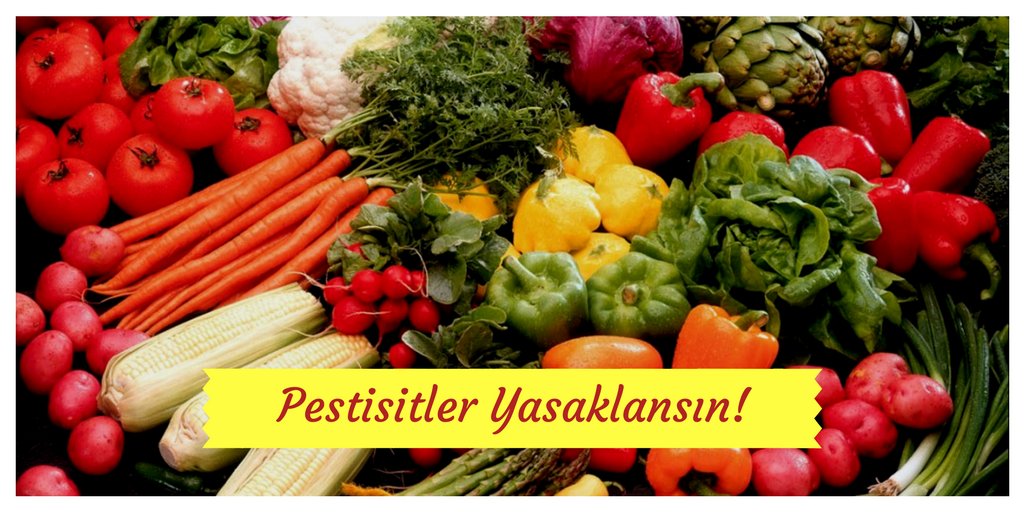 BugdayDernegi's tweet photo. Domates, salatalık, portakal gibi sebze-meyvelerin %25'i maksimum pestisit kalıntısı limitinin üzerinde. 
Oysa zehirli elmaya mecbur değiliz! https://t.co/X5LWjT6zQ5