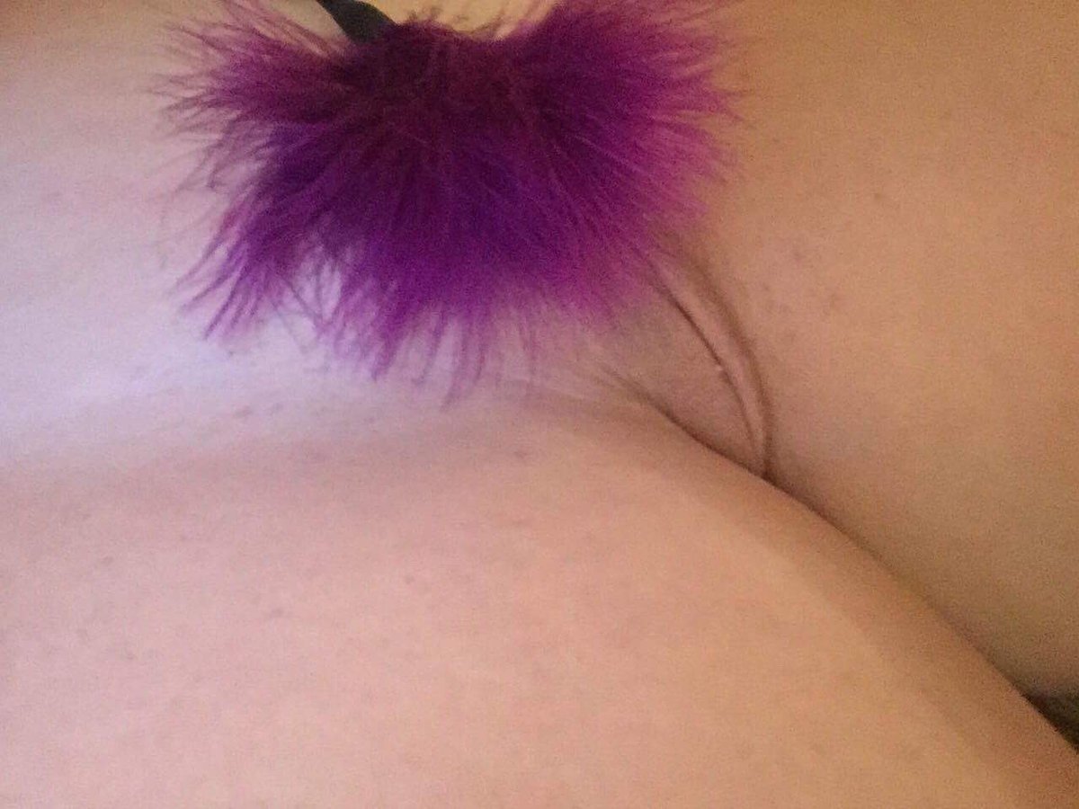 Sue6Tony's tweet photo. Sometimes I just wish some pretty girl would come over and play with my feather. https://t.co/IpZMn5MyH2