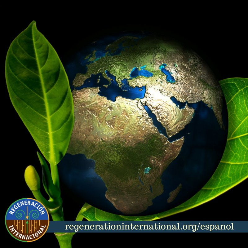 regeneracion_in's tweet photo. La #Agroecología está creciendo, ¡la agroecología es el camino!: https://t.co/jynVsOtBQG https://t.co/ig3dKKdUk0