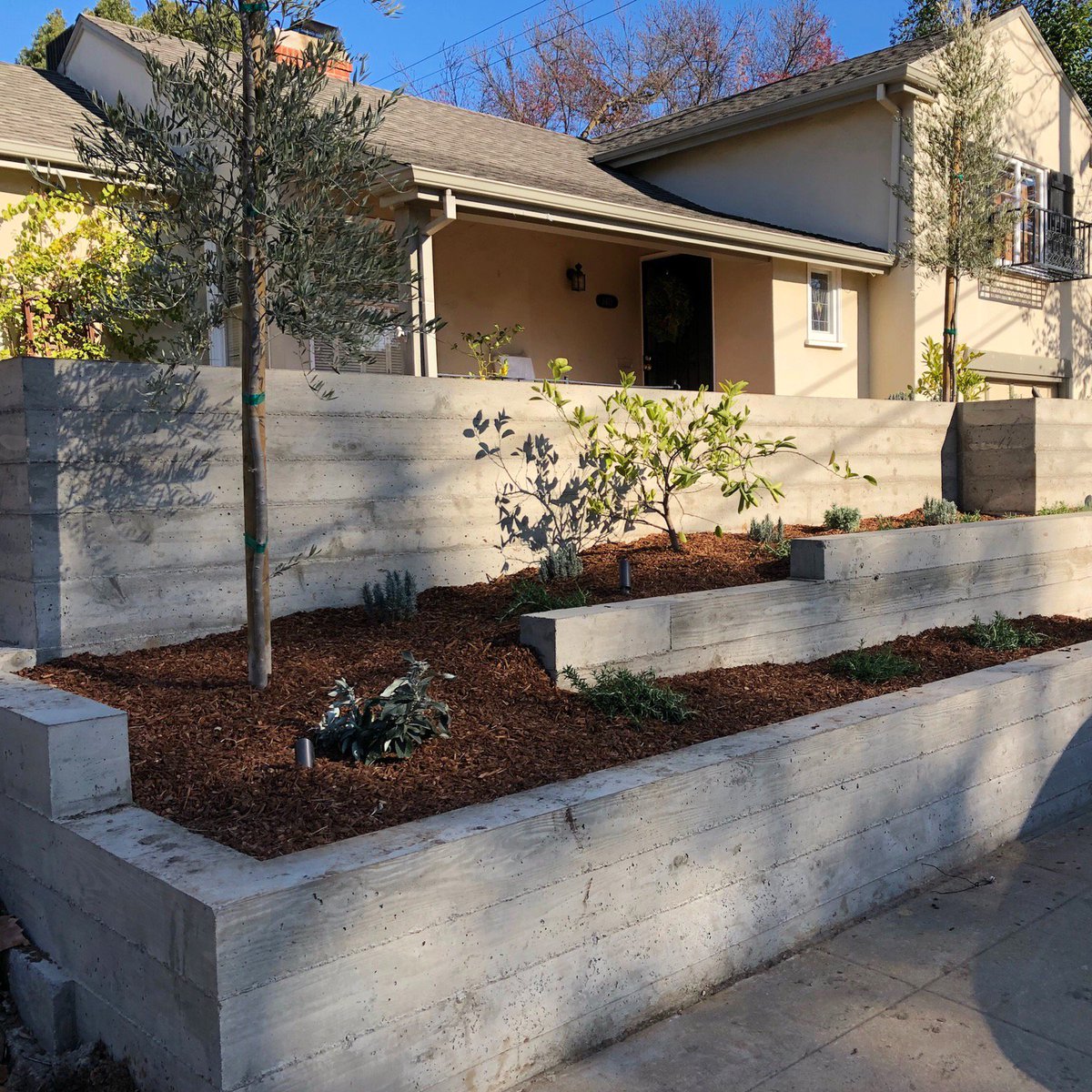 designbymisha's tweet photo. We love seeing our projects jump from paper to reality! Primo Landscape &amp; Design   has totally transformed this front yard!  #eastsacediblegarden #modernlandscapedesign #almostdone https://t.co/jy8uEj5Lwd