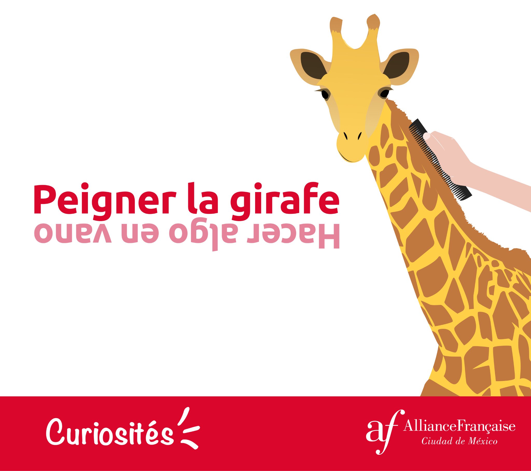 Alliance Francaise Peigner La Girafe Trabajar En Vano Curiosites Expressions Alliance Francaise Peigner La Girafe Trabajar En Vano Curiosites Expressions
