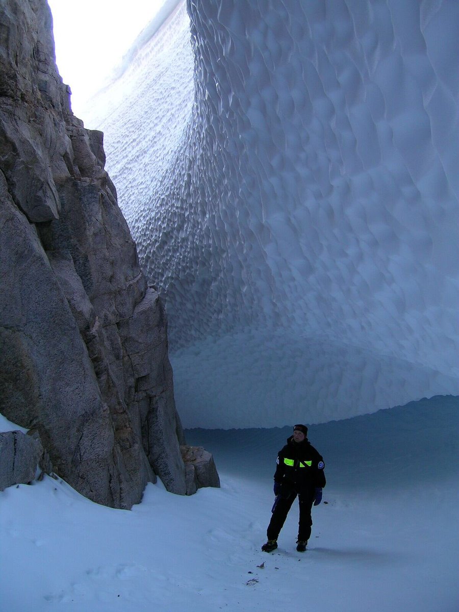 MAGIC DML tweet media