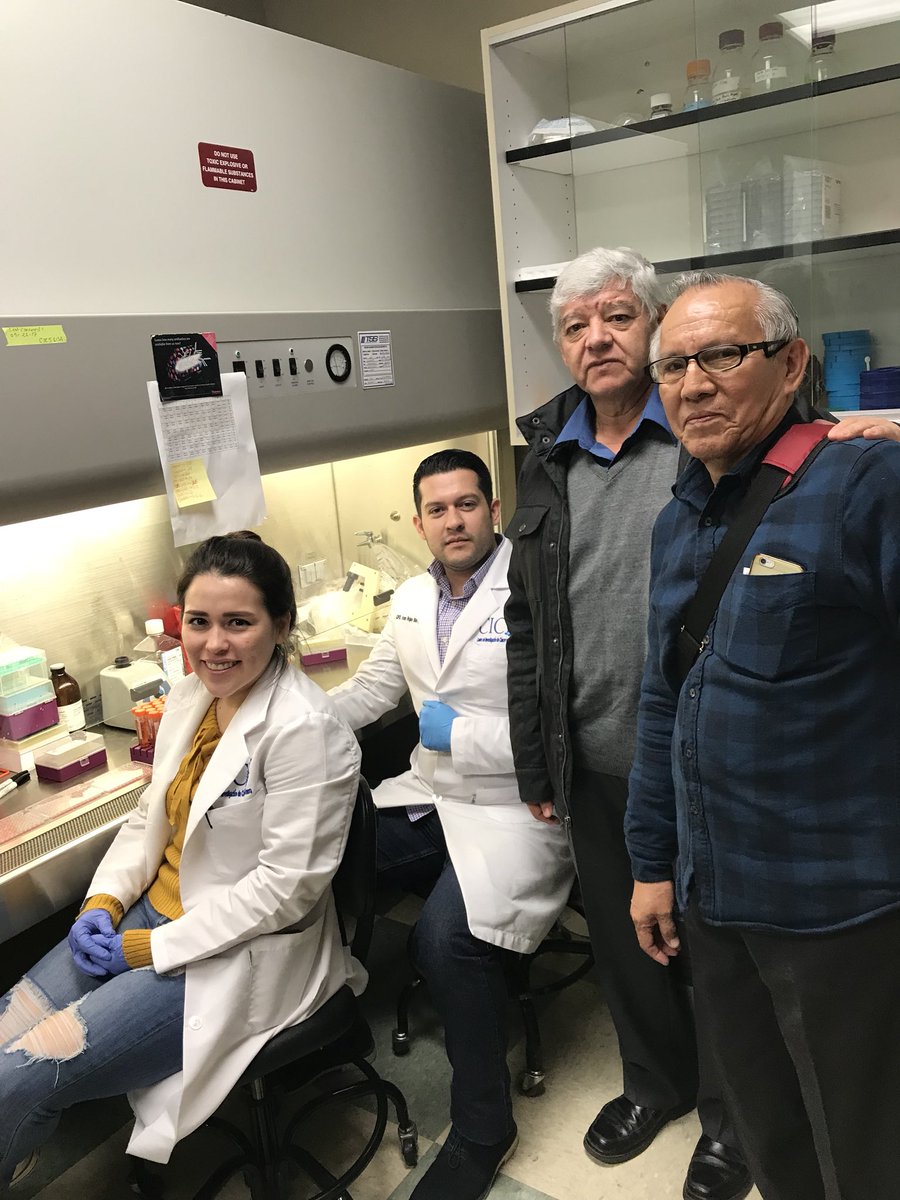CICS Sonora & USA tweet media
