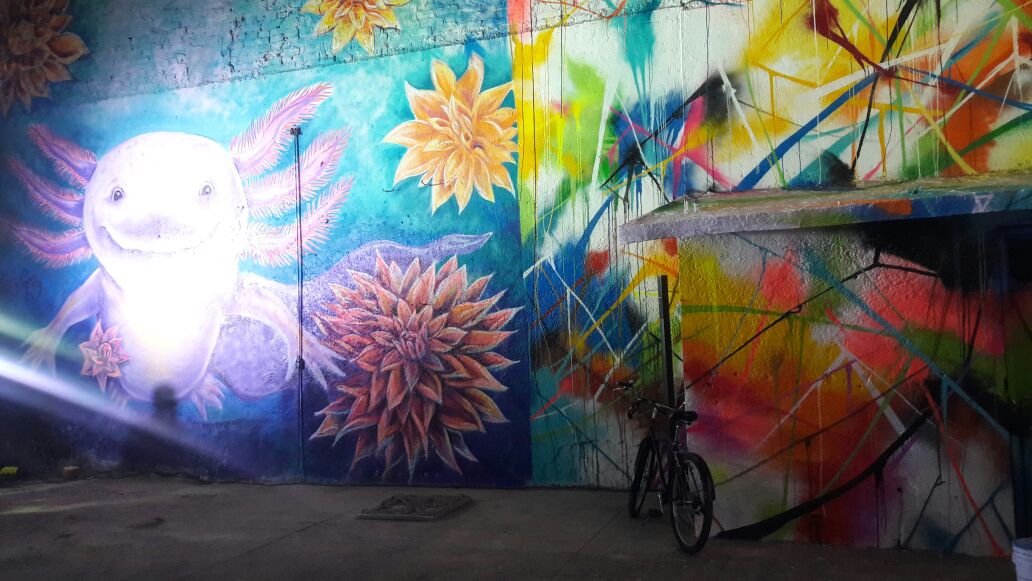 ExaFM's tweet photo. .@absolutmexico apoya la reactivación de las zonas afectadas ROMA-CONDESA por el sismo del 19S con murales de artistas internacionales. 🇲🇽 #JuntosNosLevantamos
Los murales estarán exhibidos hasta el 30 de enero de 2018.👏#ANightForChange https://t.co/Ie2FLNq8Eb
