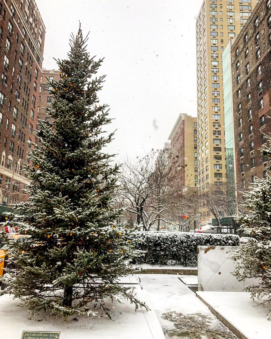 Snow day. ❄️🎄