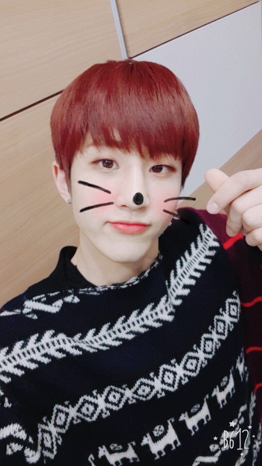 DRDSIs0UIAEfY17.jpg:orig