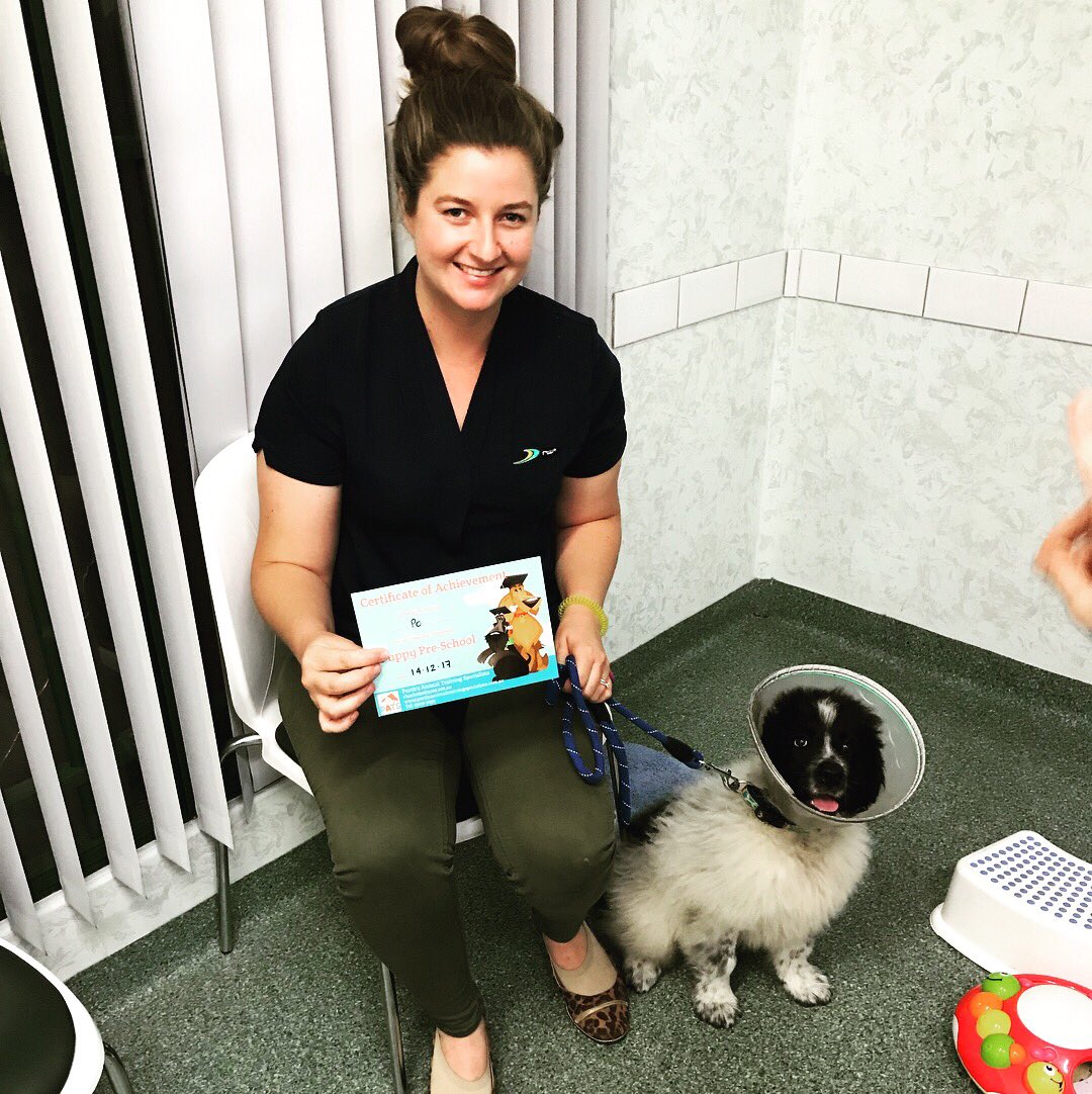 PatsPerth's tweet image. Puppy School graduates #puppyschool #perthdogtrainging