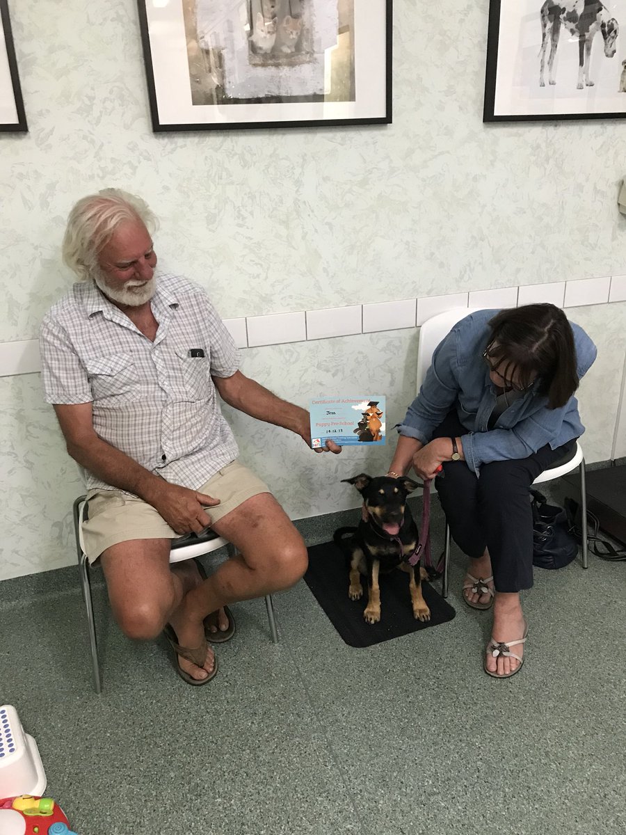 PatsPerth's tweet image. Puppy School graduates #puppyschool #perthdogtrainging
