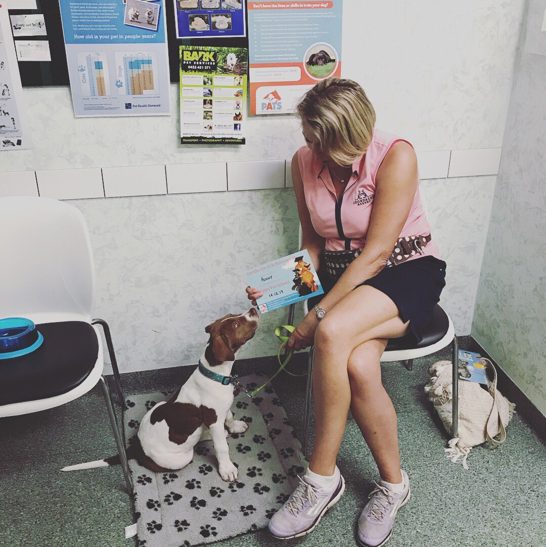 PatsPerth's tweet image. Puppy School graduates #puppyschool #perthdogtrainging