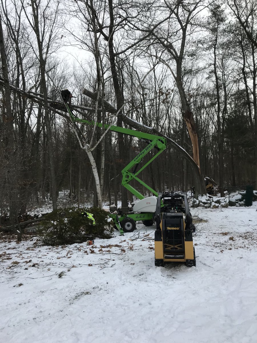 FerrisTreeSvc's tweet image. Removing A giant red oak tree today that was left hung up in the recent wind storms.