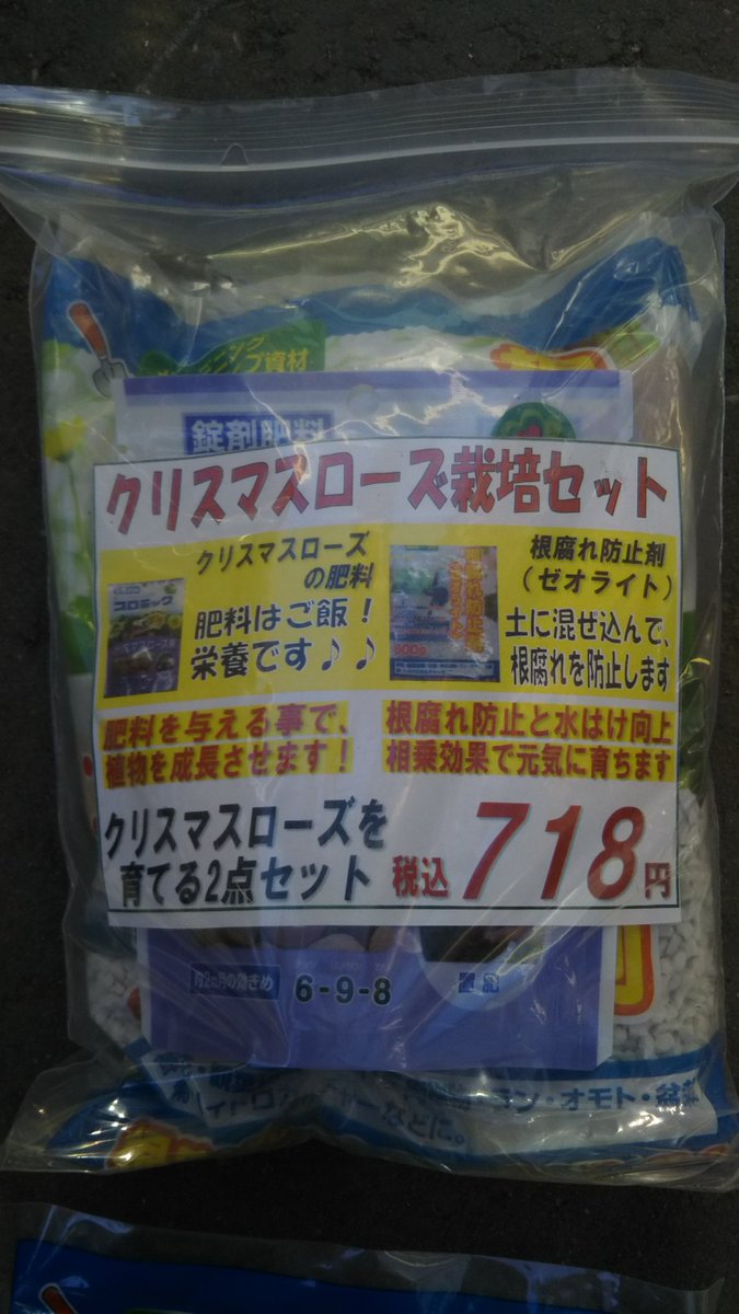 ট ইট র ジョイフル本田 ガーデンセンター ガーデンセンターひたちなか店 茨城 クリスマスローズを長く楽しむ クリスマスローズ栽培セット クリスマスローズが枯れてしまう原因のひとつ 根腐れ 根腐れを防止する 根腐れ防止剤 を肥料と