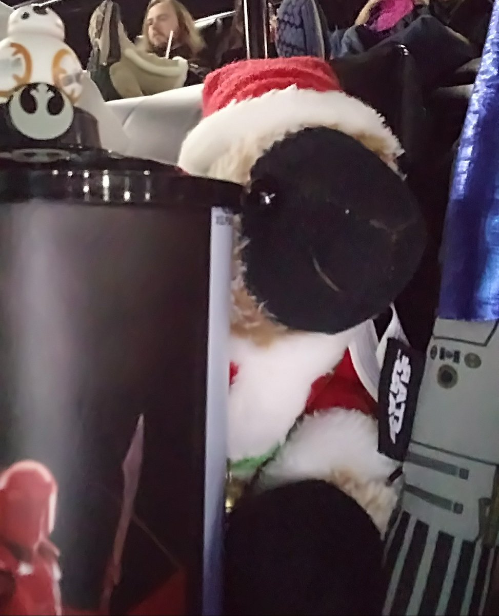 goatelina's tweet photo. About to watch #TheLastJedi !!!! Let's hope there's a lot of BB-8 and lightsabers!! #StarWars @starwars https://t.co/OR98RJGOlc