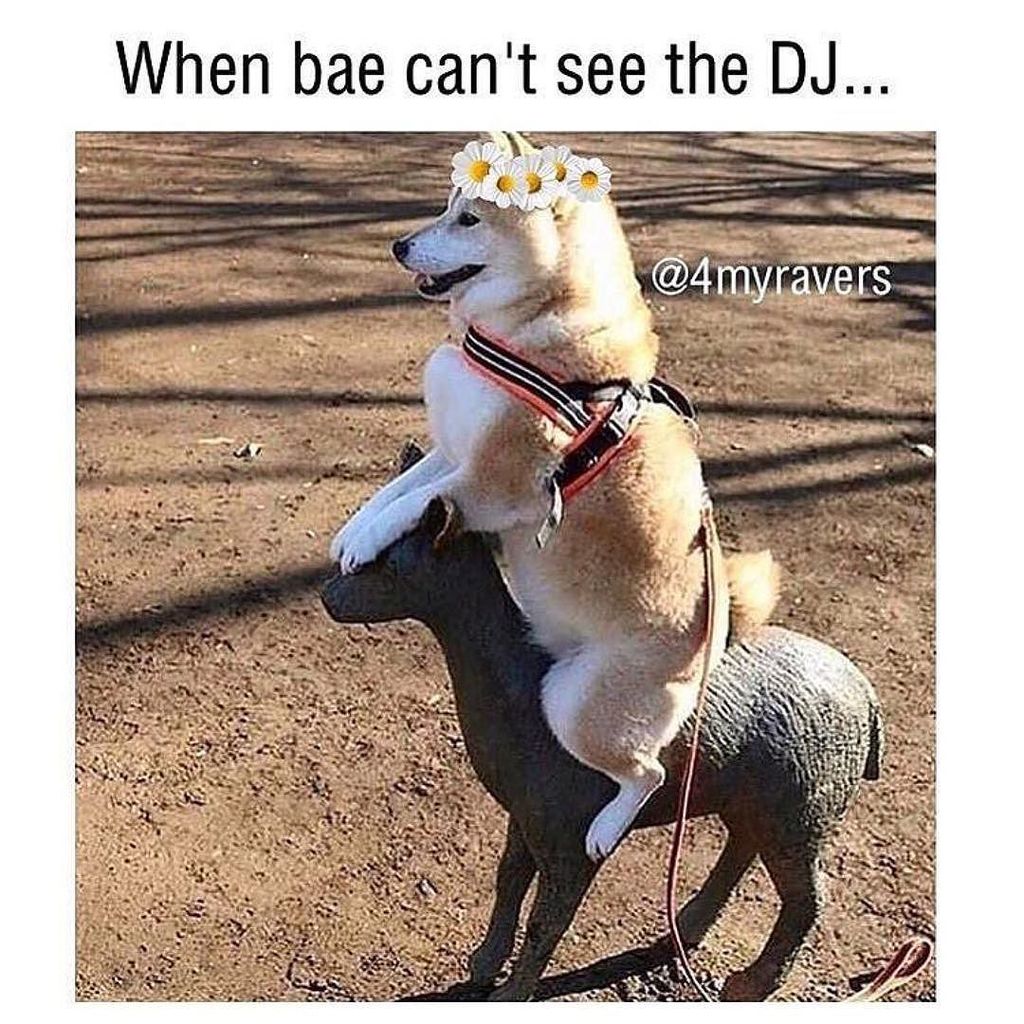 Festiie's tweet image. The struggle 😂
-
-
-
-
#myfestiiebestie #vibetogether #edmlifetyle #edmfamily #edm #plur #plurvives #kandi #vibes #positivevibes #rave #insomniacevents #festival #edc #festiebestie #peaceandlove #ravergirl #ravegirl #ravergirl #ravegirls #myfestiebes… ift.tt/2B1TNvL