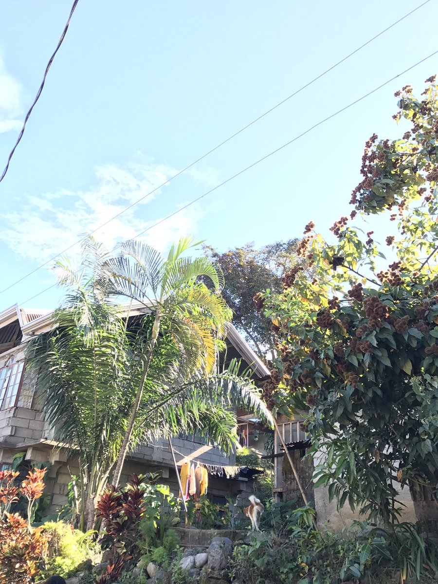 rochichan's tweet photo. Lacub, Philippines #phi2017
(Dads childhood town) https://t.co/6US8VNQ2a4