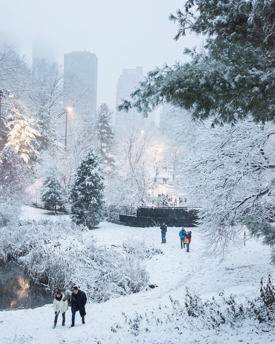 Mark Tarello On Twitter Hello Snow A Winter Wonderland