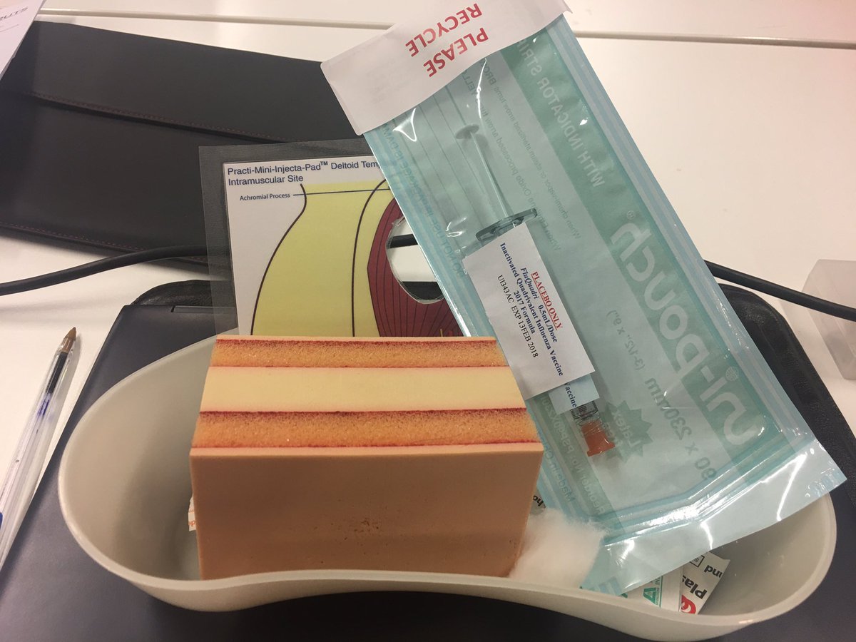 JamesUTSGSH's tweet photo. Thank you Aida and @TsingosLucas for the vaccination training workshop today! Was fun and engaging! #UTSPharmacy #UTSPharmacyVirtualPlacements2017 https://t.co/3Ofy7zeRbm