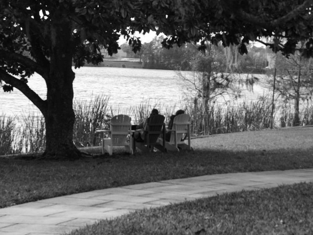 Wendilioness's tweet photo. 12🔸14 peace | lakeside | #lifeinslowmotion #blurredlines #sittingintheshade #adirondacks #treecanopy #gray #bnw #blackandwhite #bw #fromadistance #lakeside #fmspad #fms_peace https://t.co/JOQDdxCDw5
