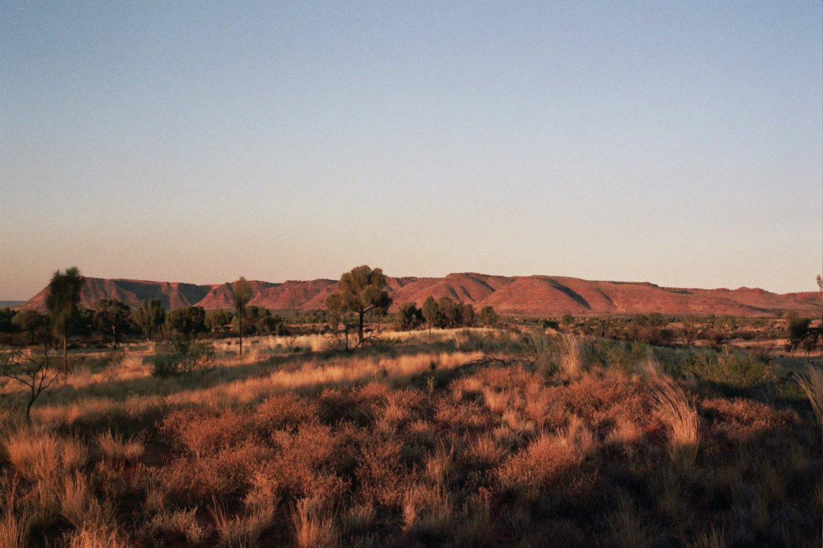 Sam Aldenton tweet media